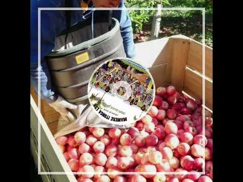 MAMERE ITONGA LSB_ Seleni 💵🤑🤑🎵🎶🍻