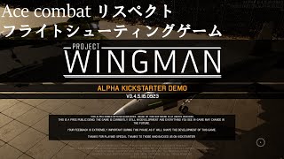 Project wingmanで遊んでみた（alphaバージョン体験版）