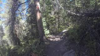 Sun Dog's Blog: Tips for rocky rooty singletrack at the peak of fall color