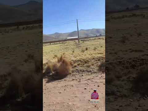 Así llegamos a Jesús de Machaca ☺️