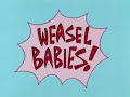 Weasel Babies HQ
