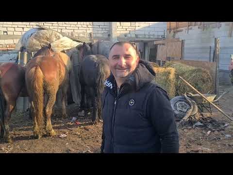 Caii a lui Sergiu și  Antonio  dela Alba iulia