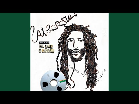 Dub For The Radicals