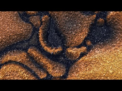 Max Cooper – A Model Of Reality (Official video by Eris is Red)