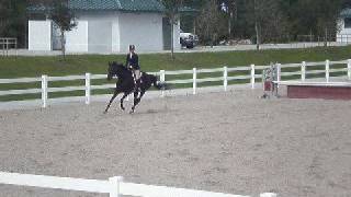 samantha and high five---schooling show