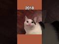 Legendary Cat Memes Then Vs Now Shorts