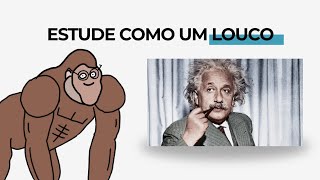 ESTUDE COMO UM LOUCO (sem virar um) TÉCNICAS DE ESTUDO PARA APRENDER 3X MAIS RÁPIDO