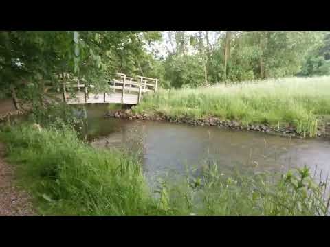 a walk besidde Holsted å