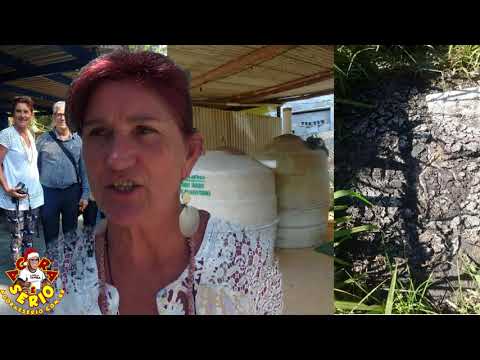 UAE Uirapuru Arte e Ecologia no Projeto da Fossa Séptica na Escola da Senhorinhas