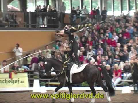 DVM 2010 - Gruppen - 18 RVV Equus I