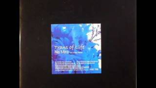 Trans Of Life - Na Mira (Ian Friday remix)