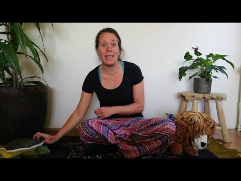 Leeuw, pauw en schildpad, introductie. door Sandra