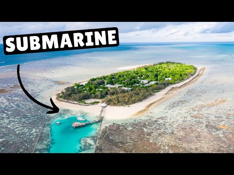 GREAT BARRIER REEF SUBMARINE (first night dive)