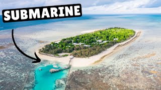 GREAT BARRIER REEF SUBMARINE (first night dive) - YouTube