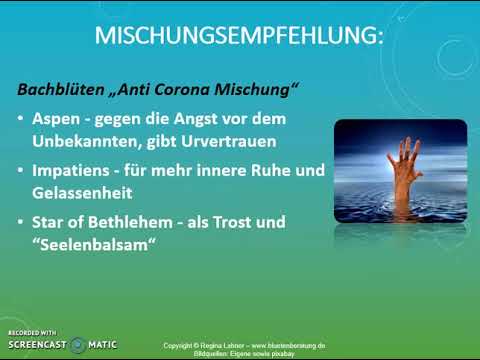 Bachblüten Mischung "Anti Corona-Angst und innere Unruhe" - von Bachblüten-Expertin Regina Lahner
