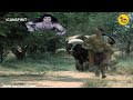 क्यों किया दानव रंभ ने भैंसे के साथ वि�