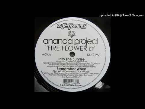 Ananda Project | Into The Sunrise (Feat. Terrance Downs)