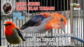 Download lagu Suara pikat kemade cit keres/cabe cabean paling ampuh tanpa iklan || anti zonk mp3 Download lagu Suara pikat kemade cit keres/cabe cabean paling ampuh tanpa iklan || anti zonk mp3