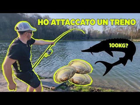 La maledizione delle cozze D.P. [ep2 nuovo lago maggiore]