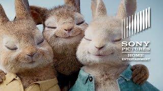 Download lagu PETER RABBIT – On Blu-ray Combo Pack & Digital mp3 Download lagu PETER RABBIT – On Blu-ray Combo Pack & Digital mp3