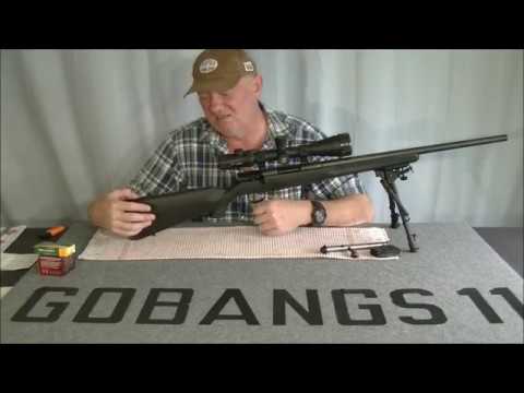 Savage Model 25 17 Hornet review.