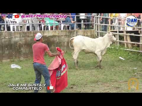 Toros en Los Pozos | Cumpleaños de Ana Lucía Barba 29 de noviembre 2025 Wolf Productions 