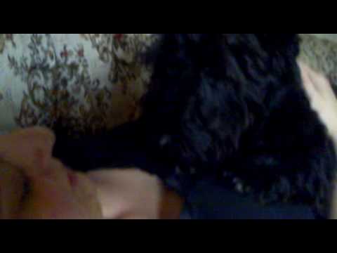 Muzzy and Scottie Chillin...