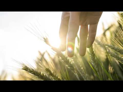 Rinat Shabanov - Touch (Dmitry Bessonov Rmx) HQ