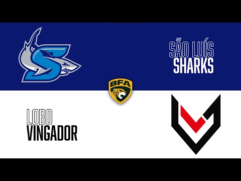 BFA 2022 - São Luís Sharks 16 x 18 Lobo Vingador | Melhores Momentos