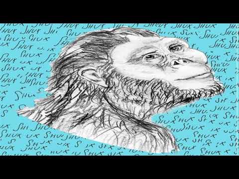 Shux - Not a Not Nazi