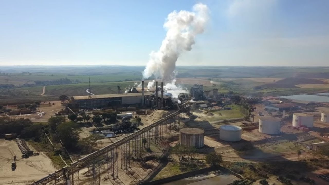 USINA AÇUCAR E ALCOOL CLEALCO