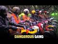 Yamakinkarudu Movie Scenes Dangerous Gang Chiranjeevi Radhika Sarath Babu