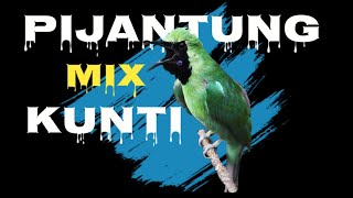 Download lagu Masteran Cucak Ijo Tembakan Pijantung Mix Kuntilanak mp3