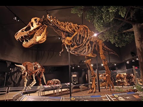 Museum of the Rockies