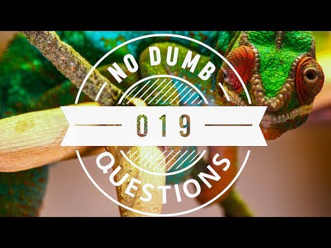 No Dumb Questions 019 - Urinal Confessions and Soft War