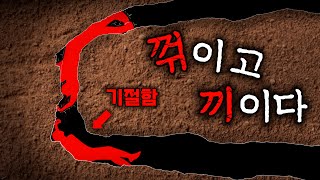 Download lagu 꺾이고 뒤틀려 끼인 소년의 끔찍한 모습. 그리고 그것에 막힌 기절한 소년 mp3