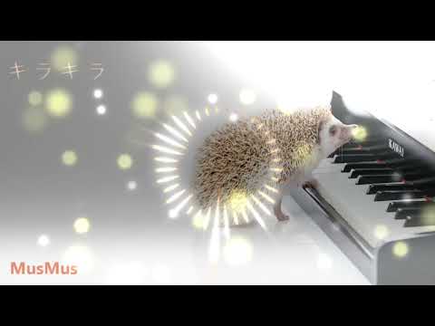 著作権フリー音源　パッションシリーズ４枚 KRPW-PA1000W/92+ | 玄人志向 80PLUS PLATINUM ATX電源 KRPW-PA