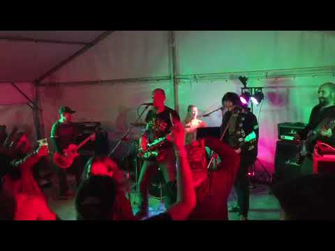 Livin - Houby Livin M Hlavsa Cover