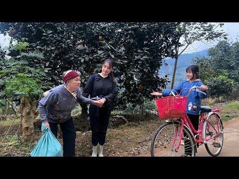 The Old Woman Has Been Found, and the Little Home Is Warm Again