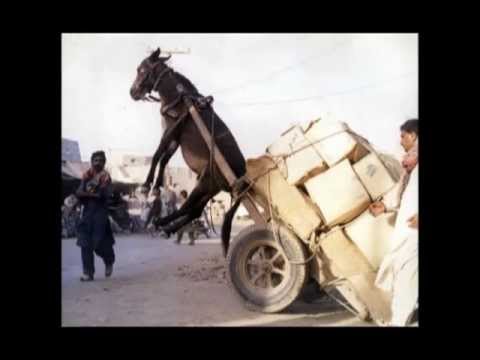 Principles of Intelligent Urbanism: Christopher Benninger at TEDxChurchgate