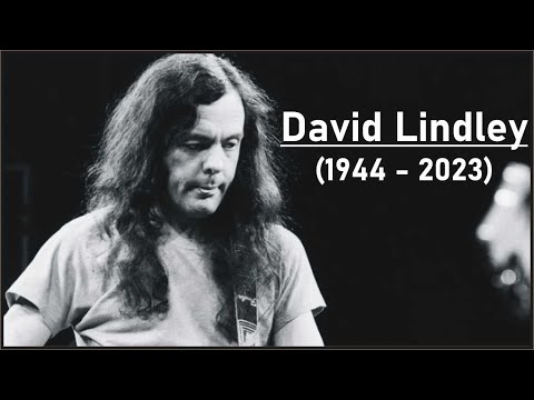 David Lindley (R.I.P.): keine normalen Gitarren hier...