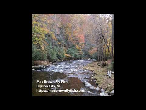 Distance Fly Casting 136' Feet with 6# Weight Fly Line