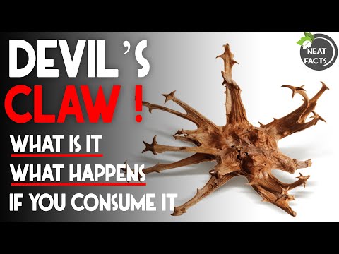 What Happens If you Consume DEVIL'S CLAW !!