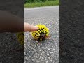 The dome on this beetle isn’t camouflage — it’s a warning flare.