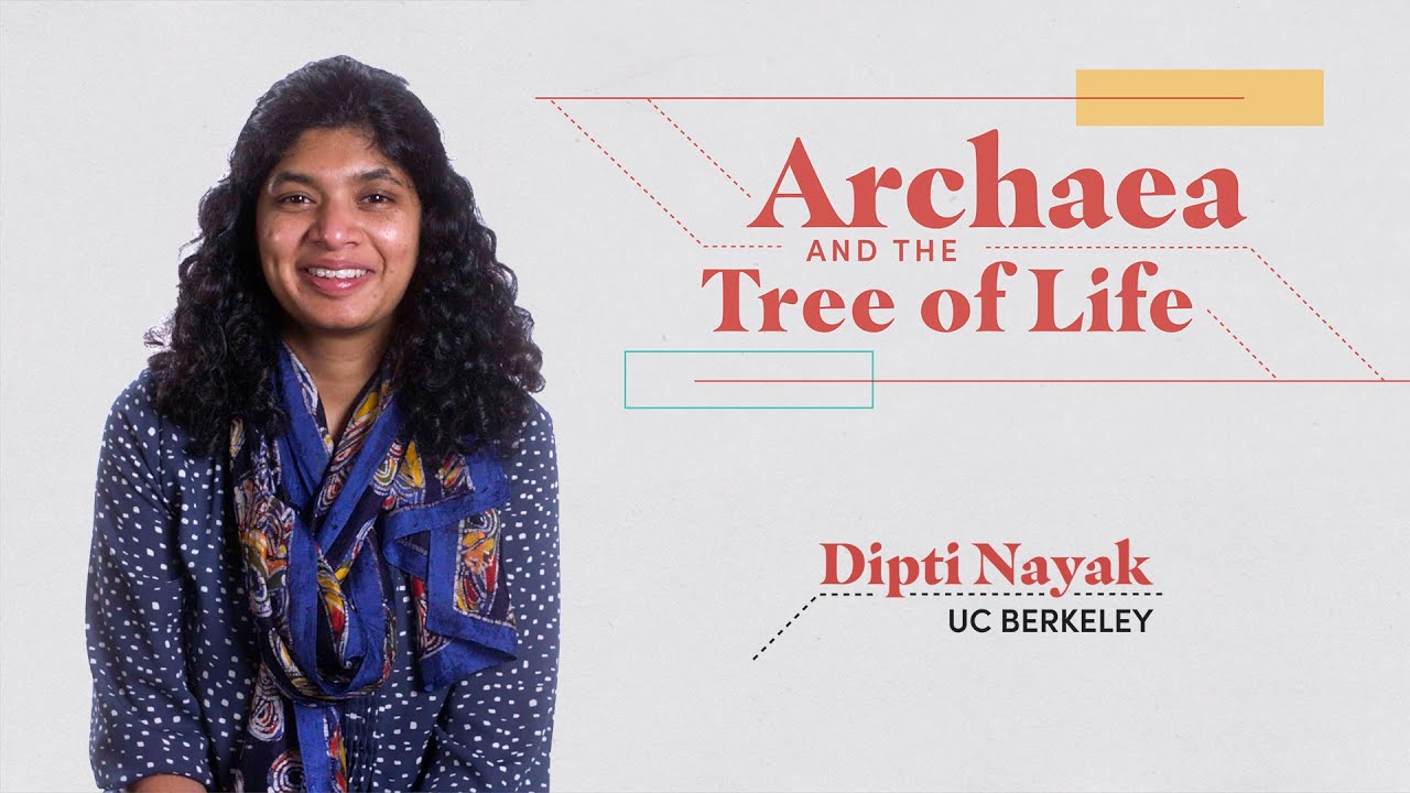 These Microbes Changed Evolutionary Biology Forever | Archaea and the Tree of Life