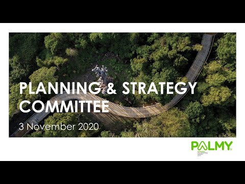 Planning & Strategy Committee | 3 November 2020 (Extraordinary)