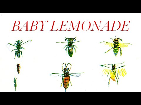 Baby Lemonade - Syd Barrett