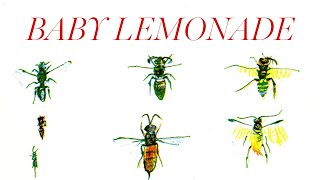 Baby Lemonade by Syd Barrett | Guitar Lesson