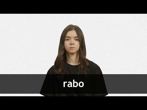 English Translation of “RABO” | Collins Spanish-English Dictionary