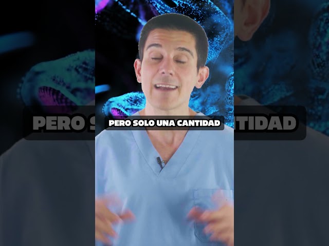 Vídeo relacionado con Glycine - 365 Cápsulas - Altamente Dosificado Con 2000 Mg Por Porción Diaria - Particularmente Alta Pureza - Sin Aditivos - Vegano
